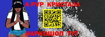хмурый Кингисепп