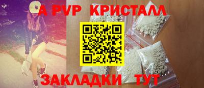 хмурый Кингисепп