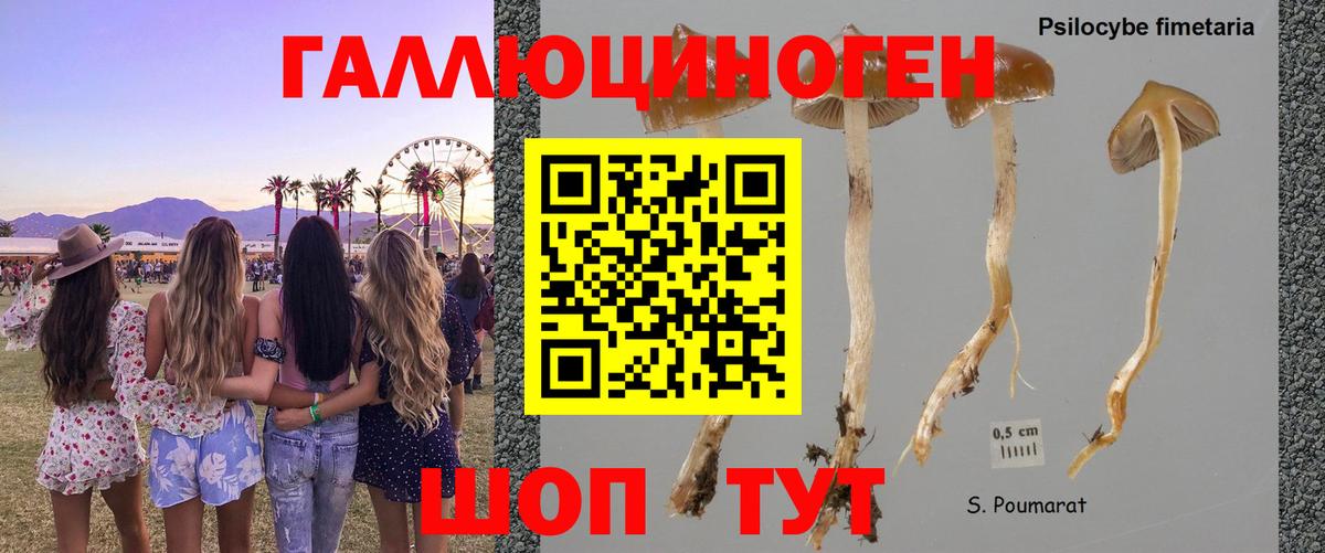Галлюциногенные грибы GOLDEN TEACHER  Вход с VPN  Костомукша 
